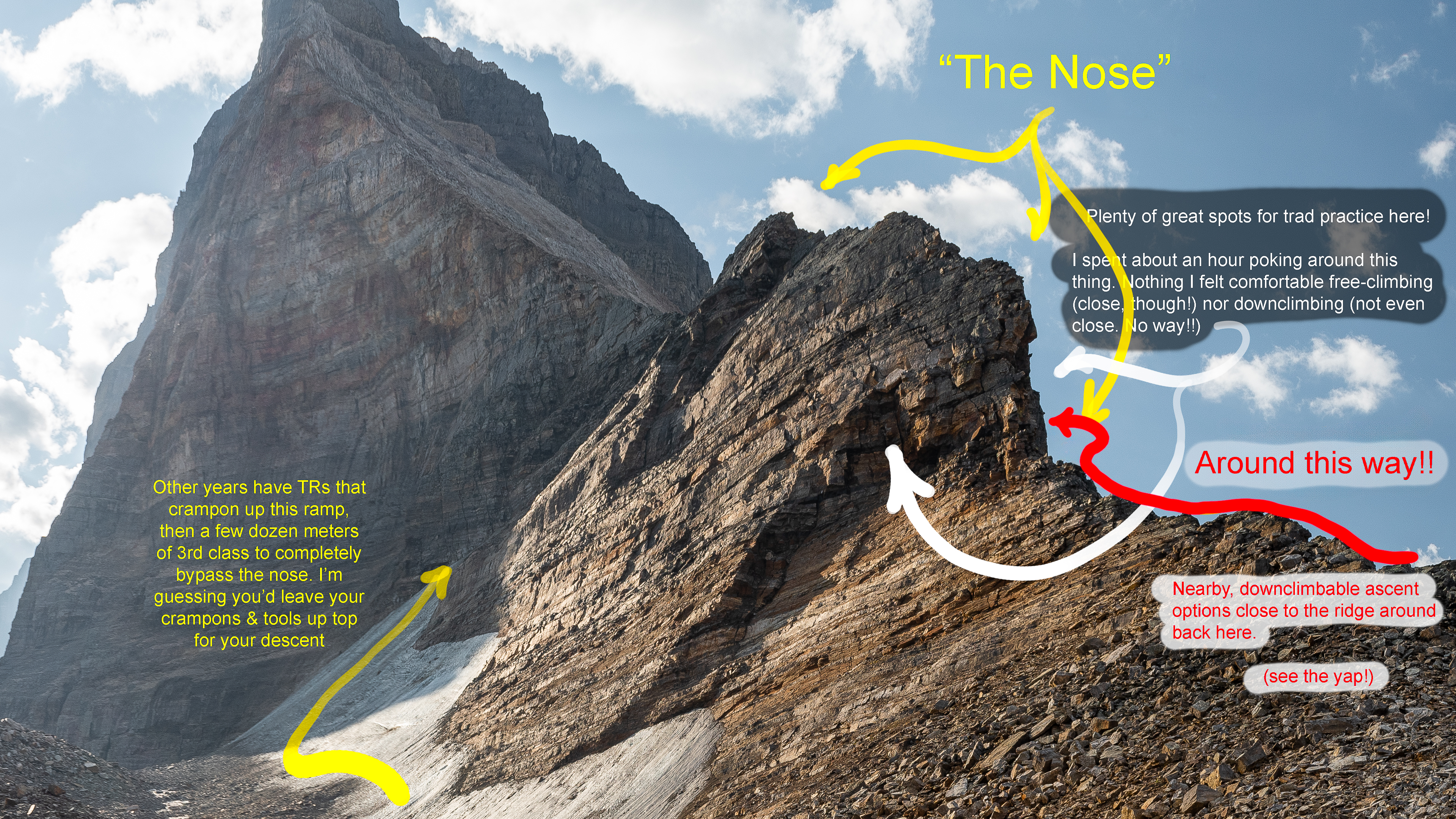 Nose notes