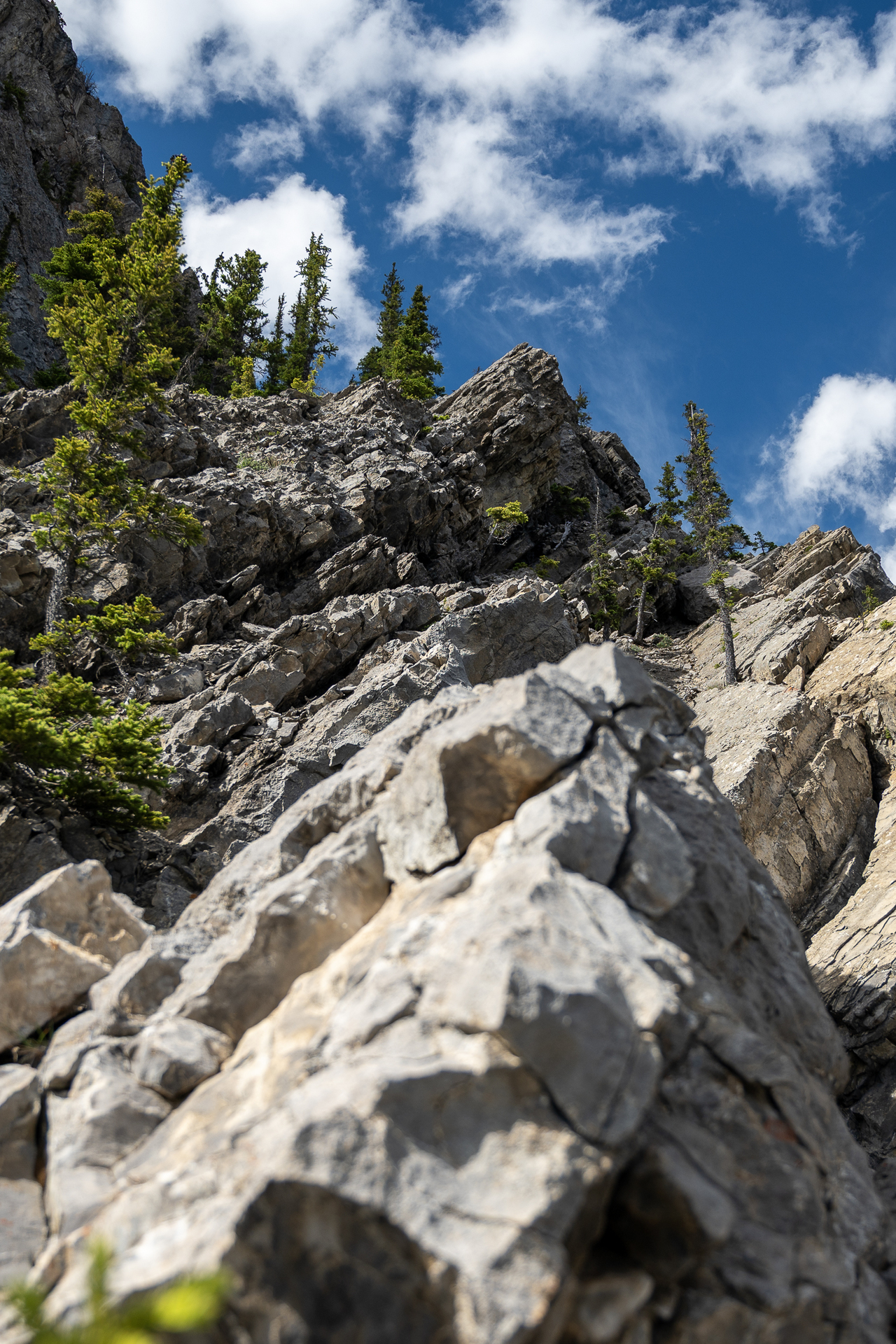 along rock wall 2