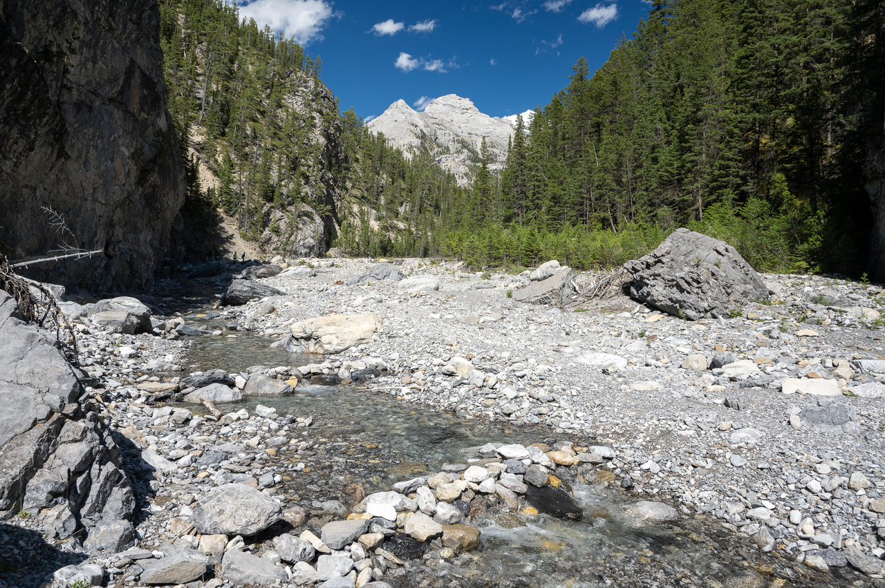 Cougar Creek