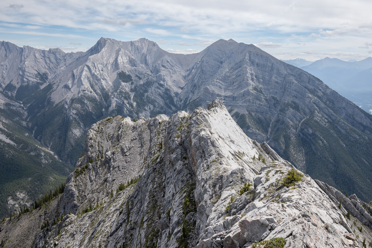 a view back from earlier on the ridge