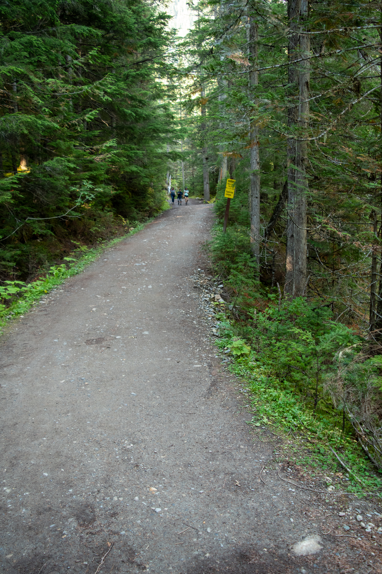 Berg Lake Trail