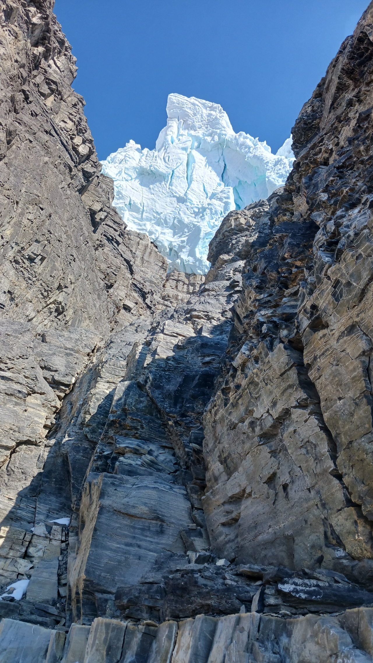 Gargoyle from lower ledge set