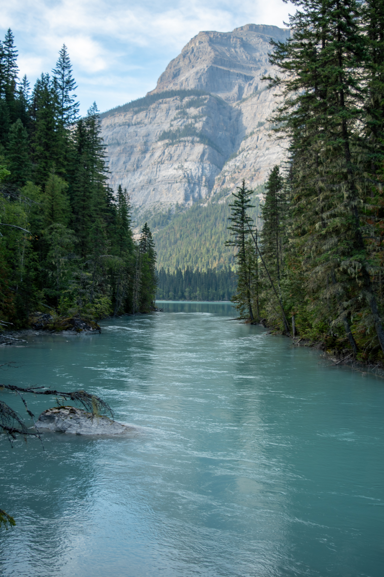 Kinney Lake from the Robson River Bridge