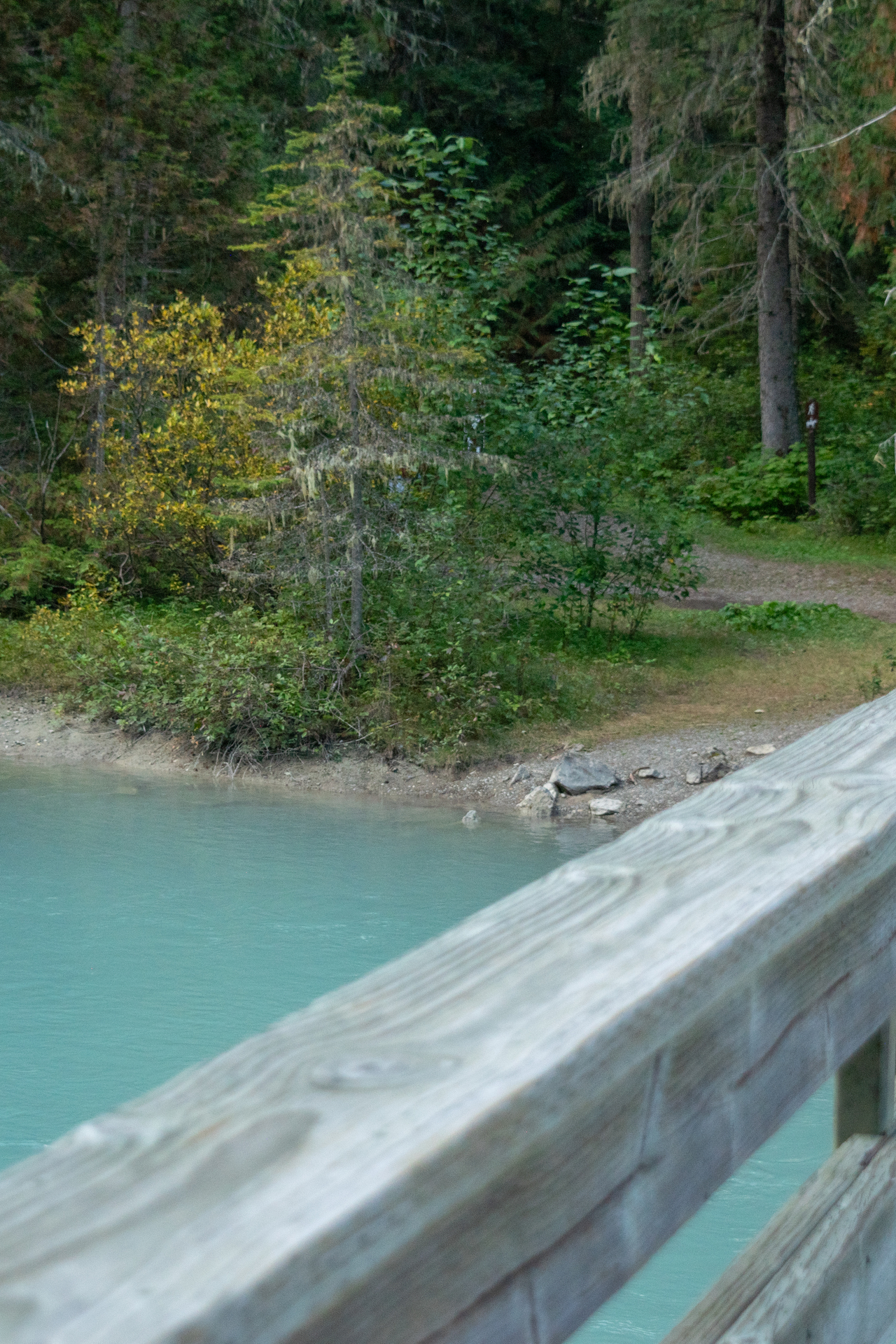 Robson River Bridge, south end of Kinney Lake