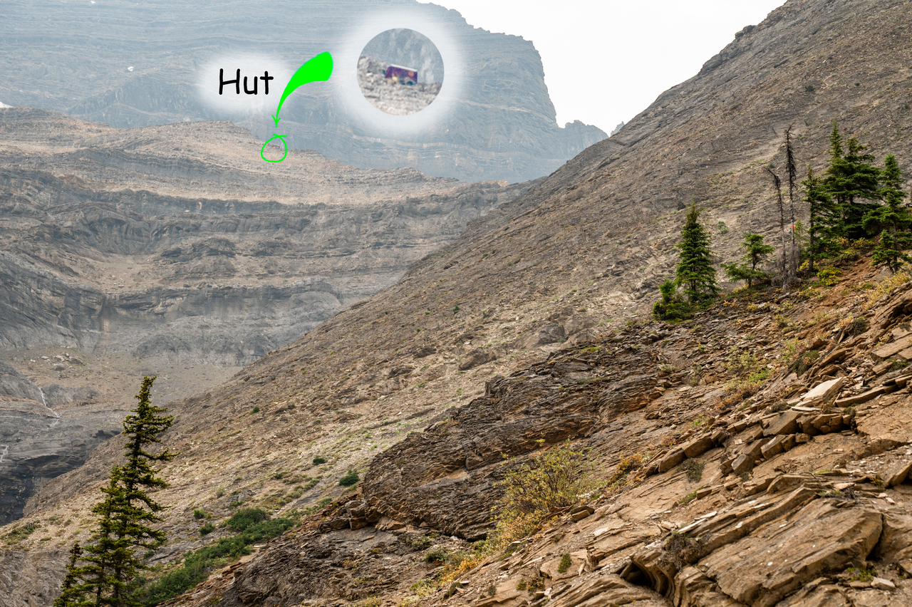 alpine just above the treeline